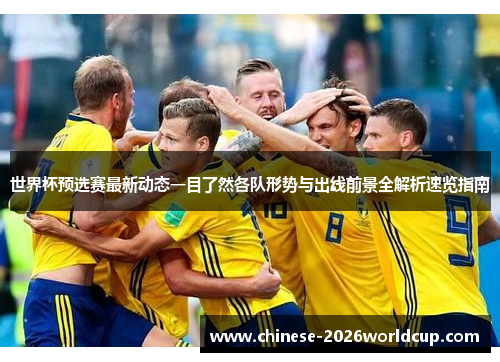 世界杯预选赛最新动态一目了然各队形势与出线前景全解析速览指南 世界杯预选赛最新动态一目了然各队形势与出线前景全解析速览指南
