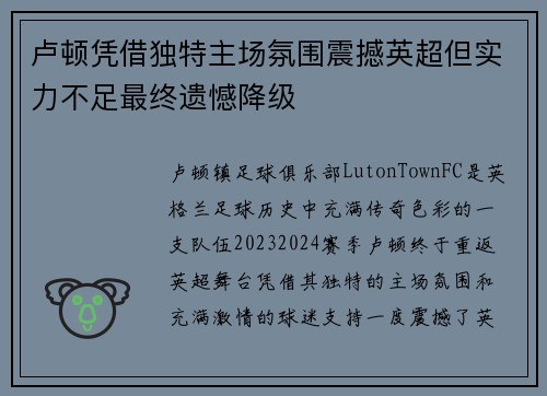 卢顿凭借独特主场氛围震撼英超但实力不足最终遗憾降级 卢顿凭借独特主场氛围震撼英超但实力不足最终遗憾降级